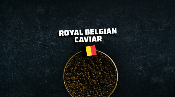 Königlich Belgischer Kaviar: Belgiens Bester!